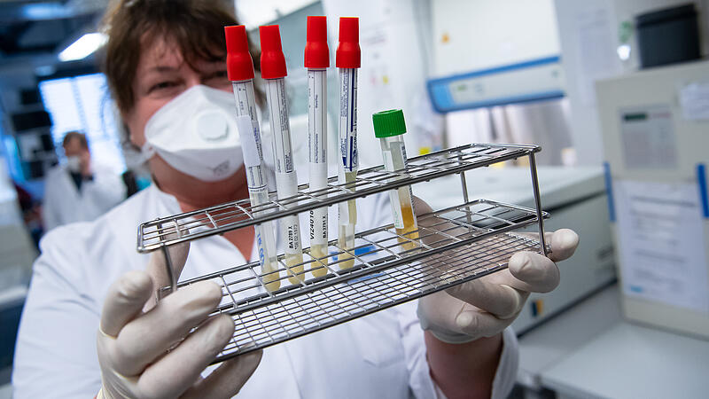 JKU-Forscher auf der Suche nach "der Mutation im Virenhaufen"